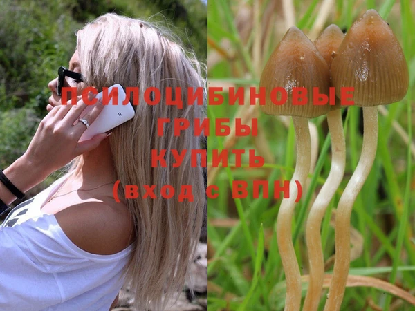 дурь Аркадак