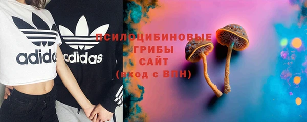 mix Арсеньев