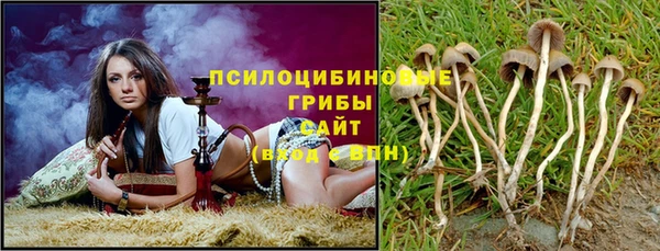 гидропоника Балахна