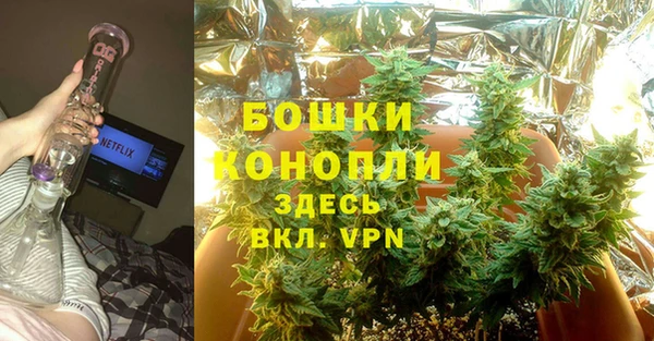 дурь Аркадак
